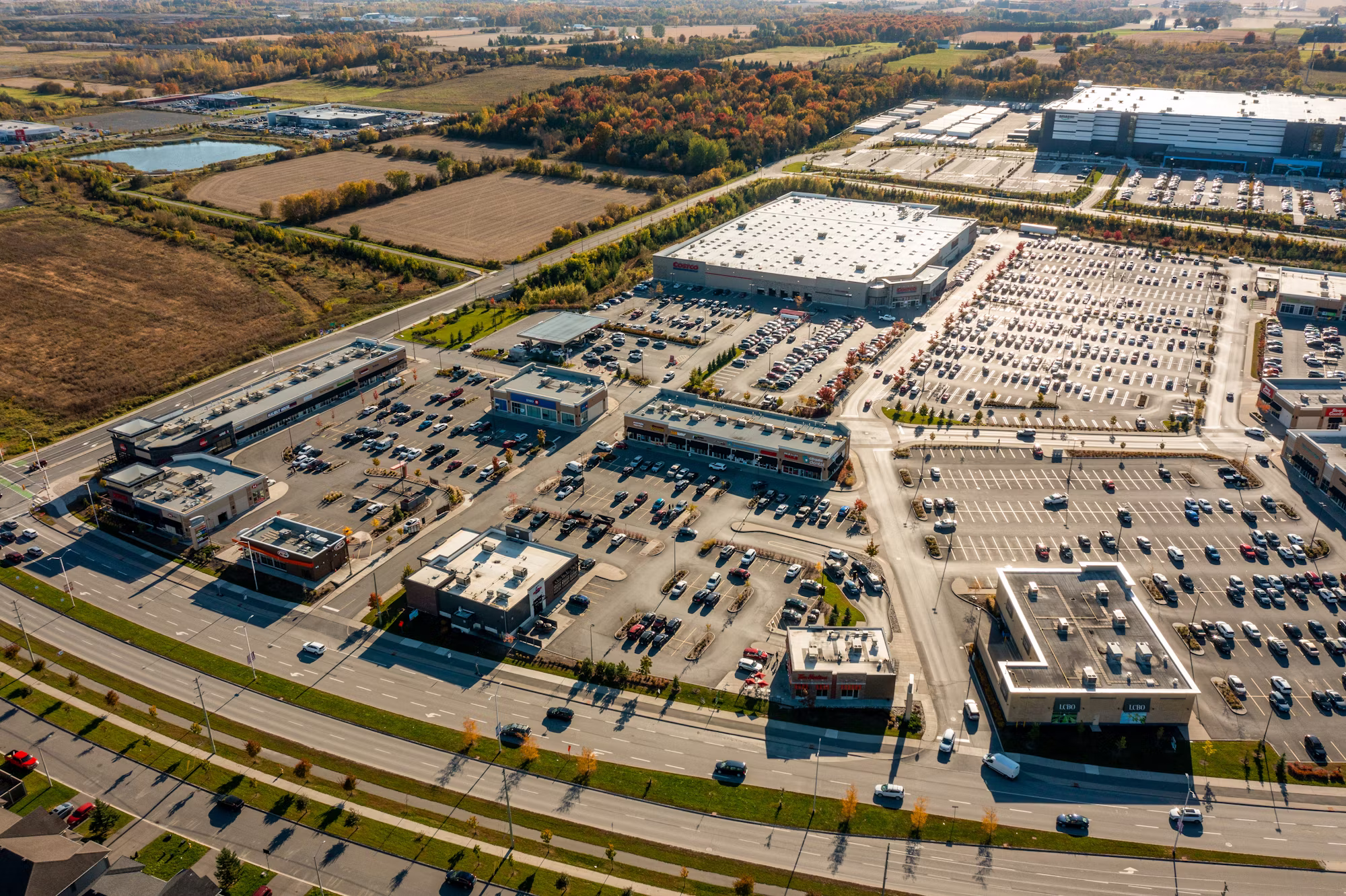Navigating the Modern Marketplace: Trends and Innovations in Shopping